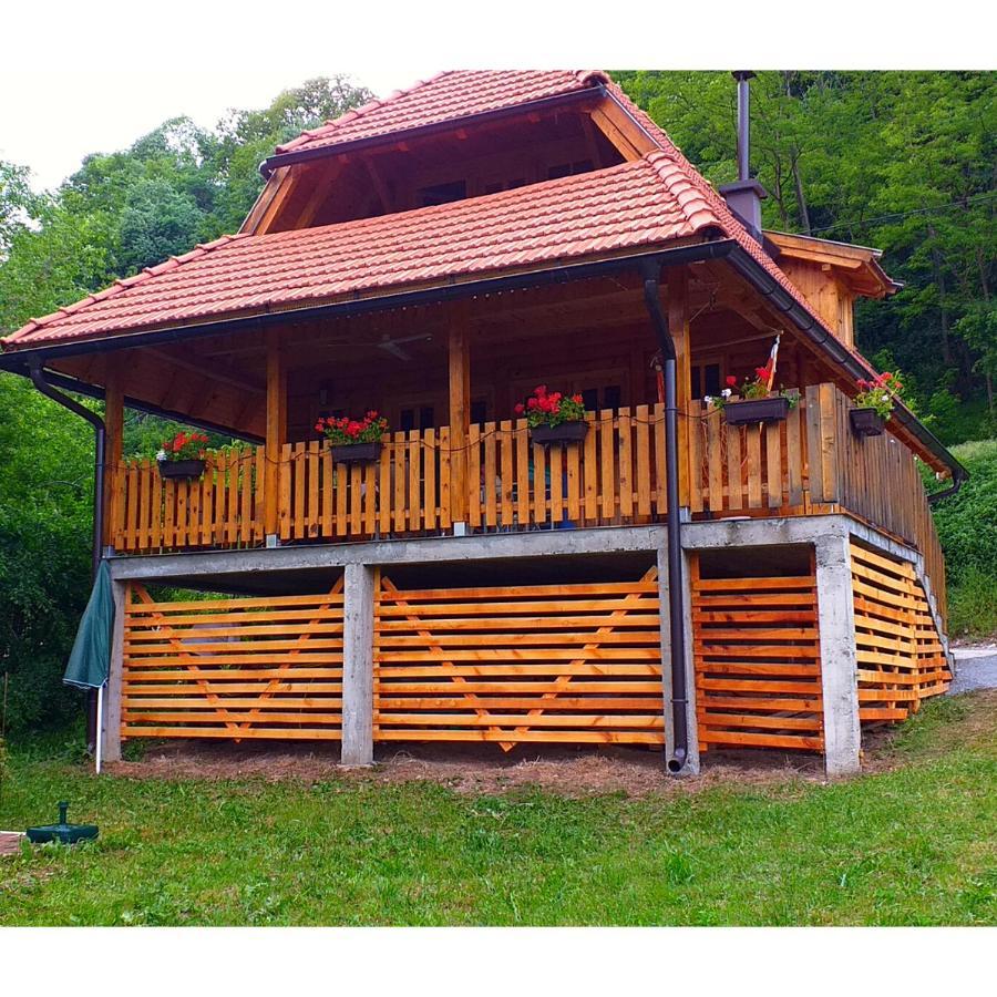 Villa Drinska Tisina à Ljubovija Extérieur photo